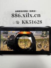 和平精英Mahe辅助_和平精英安卓版触摸自瞄手游插件